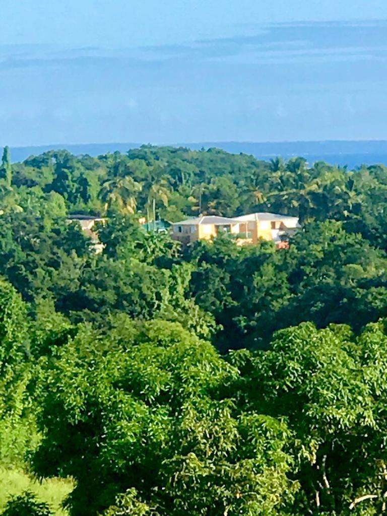 Hébergement de vacances La Maison D'a Cote Le Gosier (Grande-Terre)