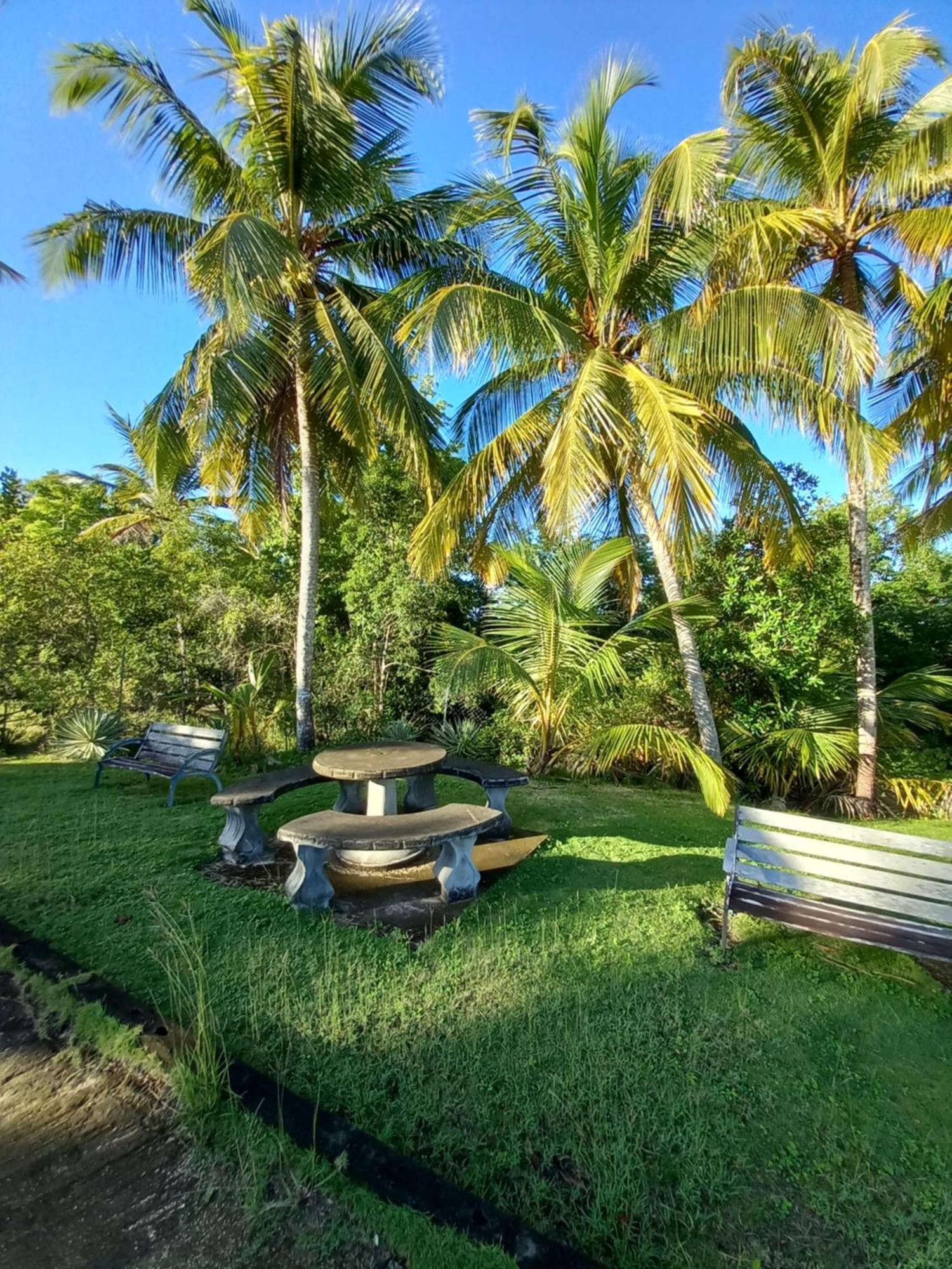 La Maison D'a Cote Hébergement de vacances